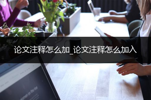 论文注释怎么加_论文注释怎么加入